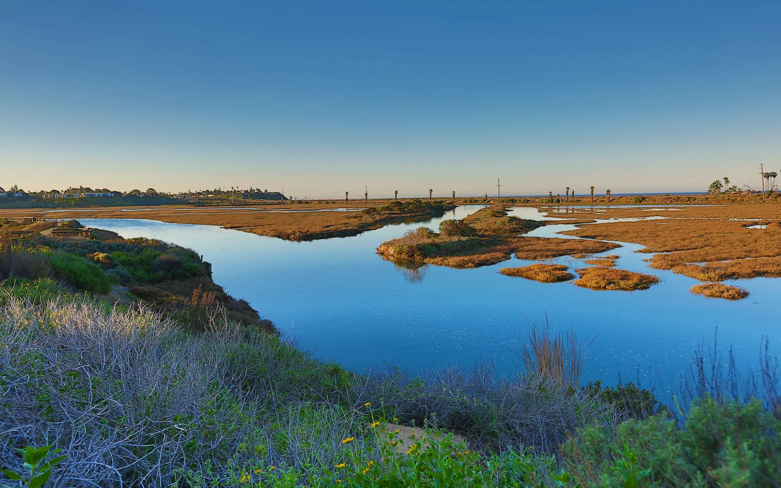 San Elijo Lagoon Ecological Reserve in San Diego County showing natural wetland landscape